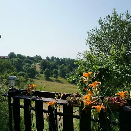Seidl's Ilztalfewo Apartman *